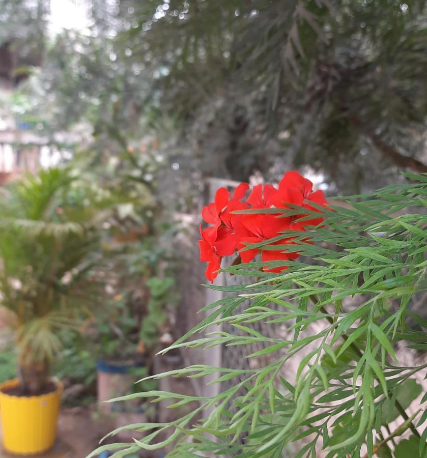 Trimurti Holiday Home Panchgani Exterior foto