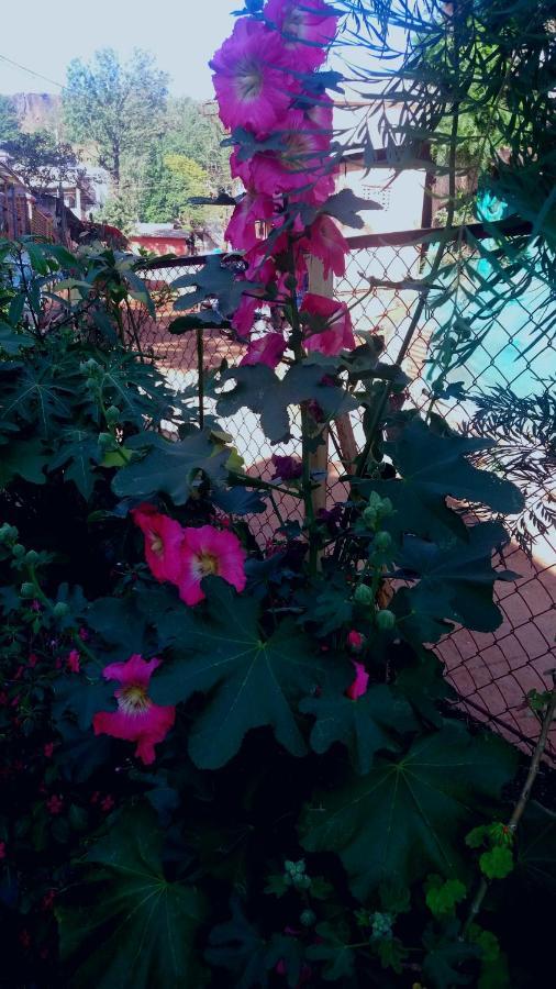 Trimurti Holiday Home Panchgani Exterior foto